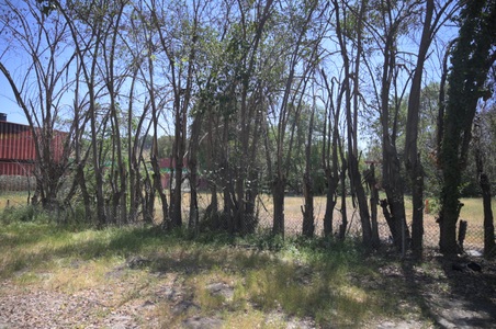 Enlarge photo 195