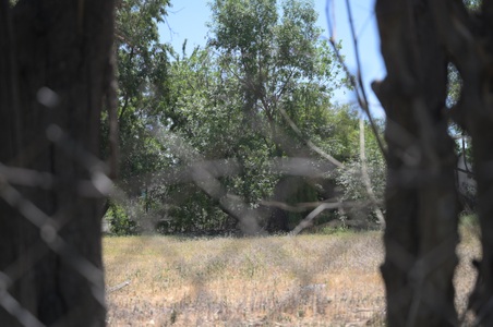 Enlarge photo 197