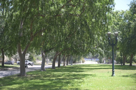 Enlarge photo 6
