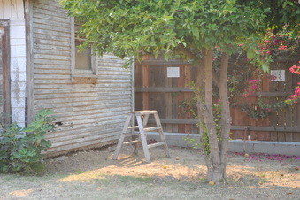 Enlarge photo 78