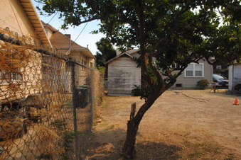 Enlarge photo 79
