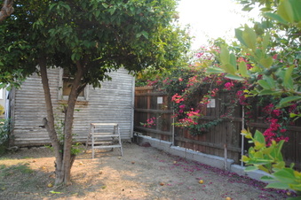 Enlarge photo 83