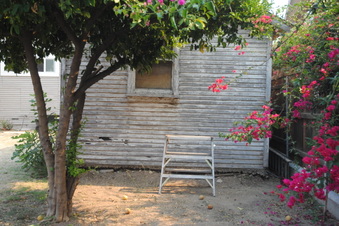 Enlarge photo 84