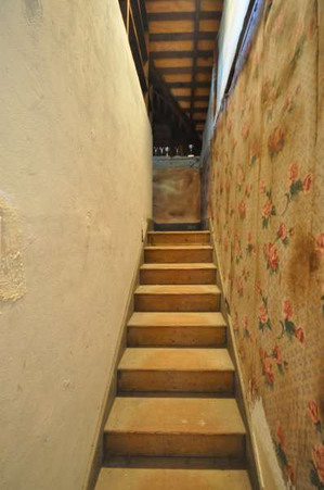 Enlarge photo 47