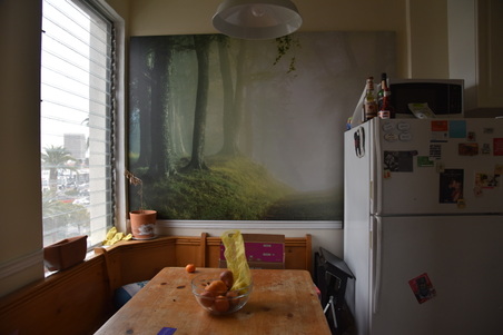 Enlarge photo 50