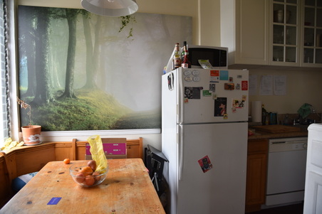 Enlarge photo 64
