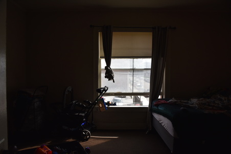Enlarge photo 15