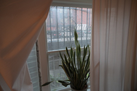 Enlarge photo 40