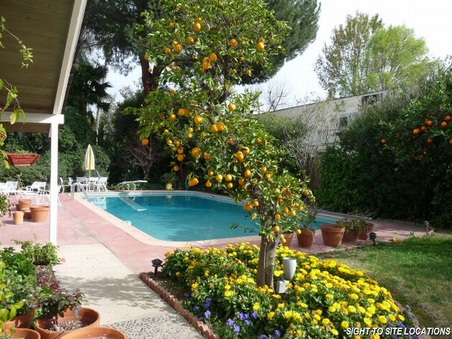 Enlarge photo 70