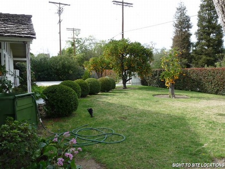 Enlarge photo 88
