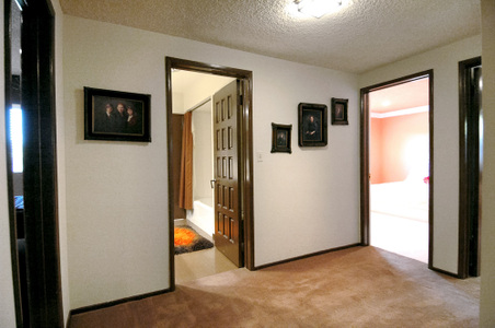 Enlarge photo 30