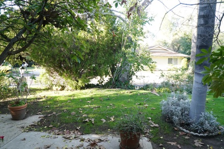 Enlarge photo 8