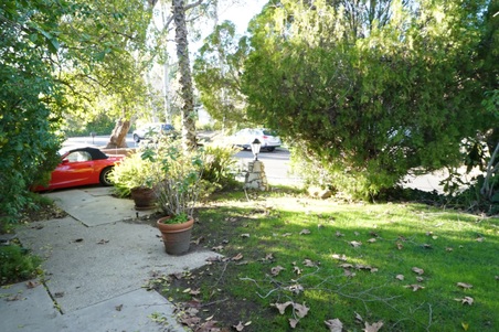 Enlarge photo 10