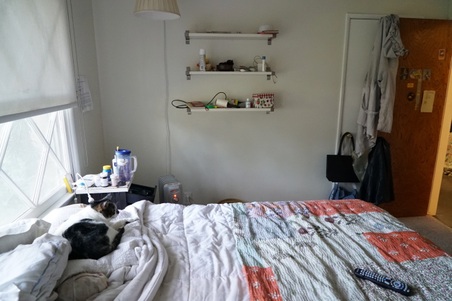 Enlarge photo 79