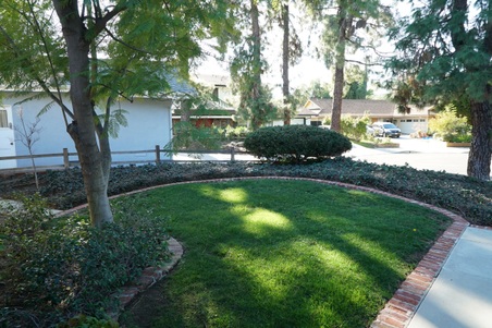 Enlarge photo 15