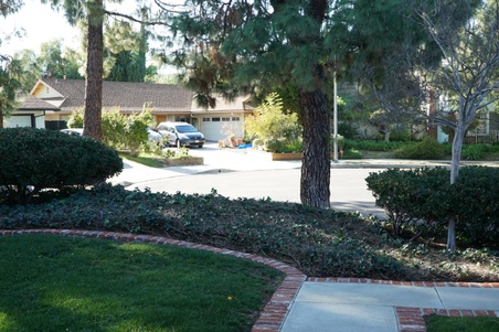 Enlarge photo 17