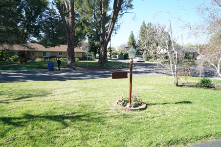 Enlarge photo 15