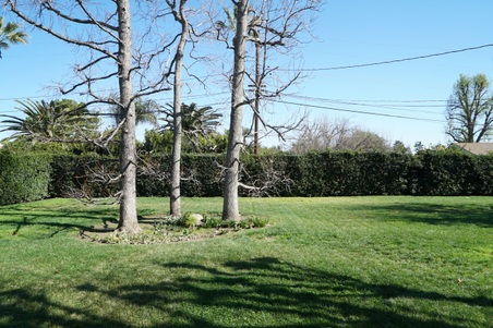 Enlarge photo 91