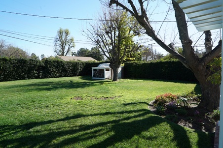 Enlarge photo 92