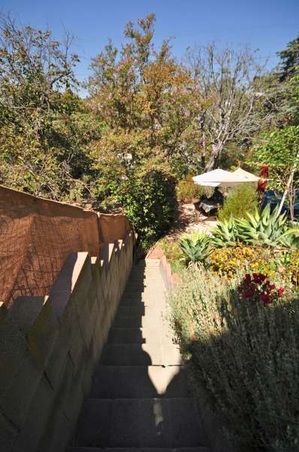 Enlarge photo 42