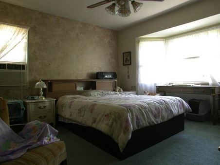 Enlarge photo 37