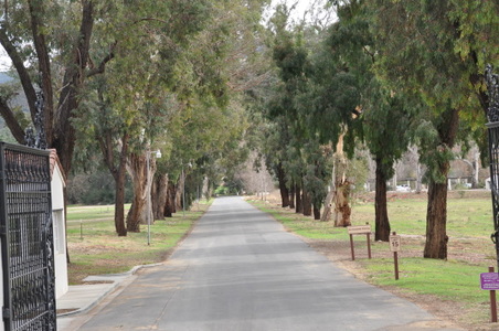 Enlarge photo 4