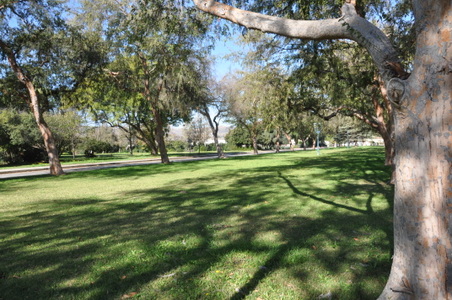 Enlarge photo 69