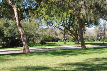 Enlarge photo 70
