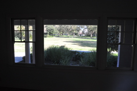 Enlarge photo 113