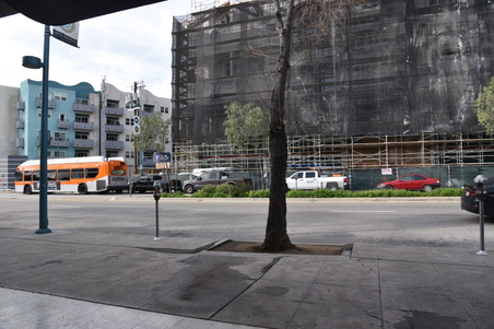 Enlarge photo 10