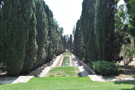 Enlarge photo 9