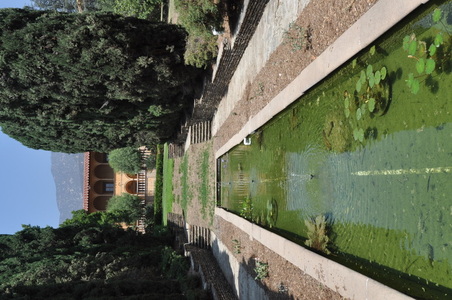 Enlarge photo 13