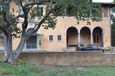 Enlarge photo 65