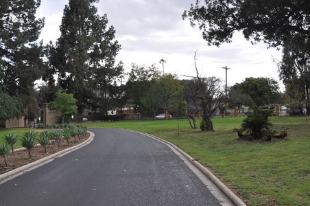 Enlarge photo 73