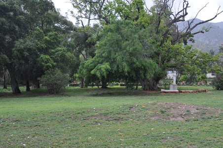Enlarge photo 74