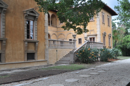 Enlarge photo 76