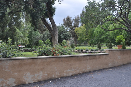 Enlarge photo 81