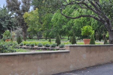 Enlarge photo 82