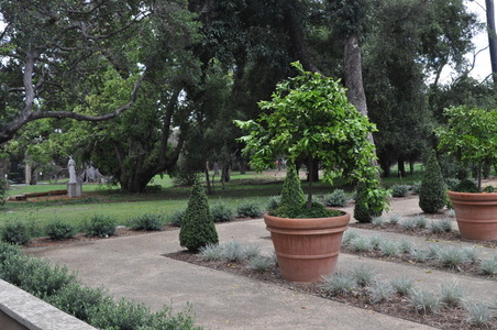 Enlarge photo 86
