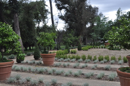 Enlarge photo 87