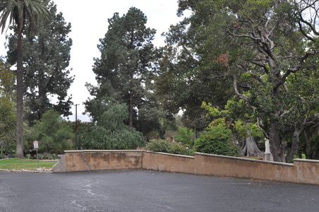 Enlarge photo 93