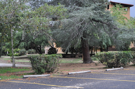 Enlarge photo 102