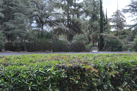Enlarge photo 104
