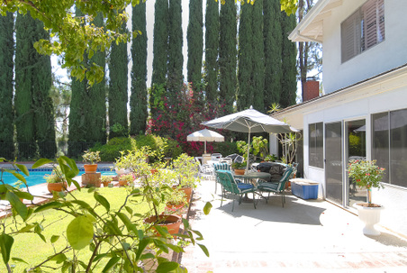 Enlarge photo 54