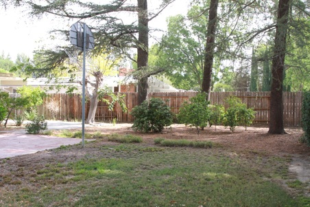 Enlarge photo 43