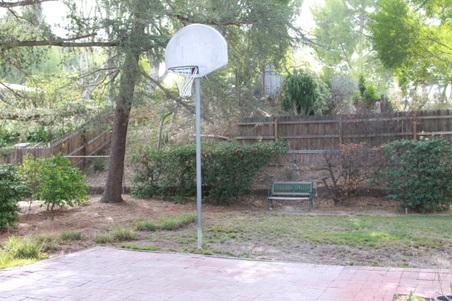 Enlarge photo 47