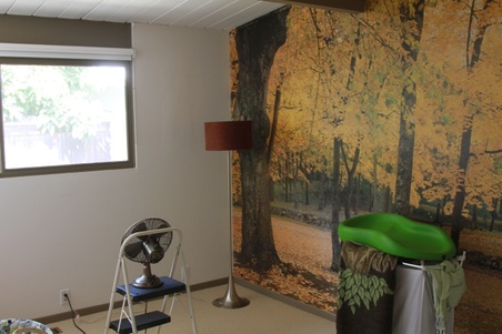 Enlarge photo 43