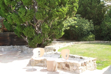 Enlarge photo 63