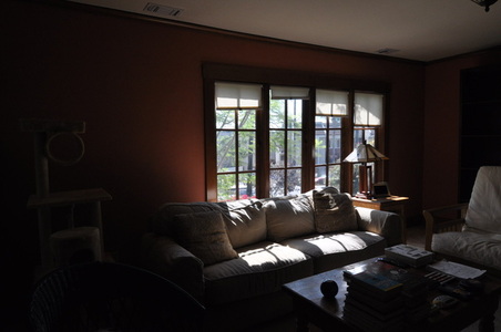 Enlarge photo 67