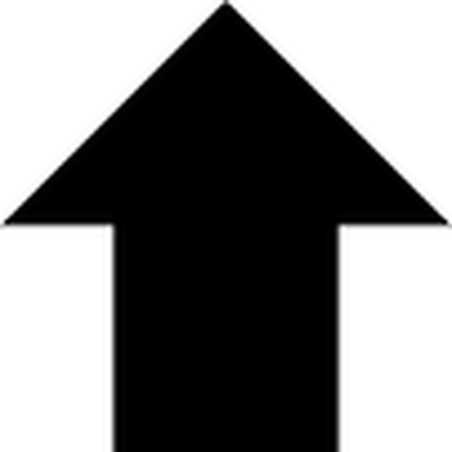 NEW_2-20-19